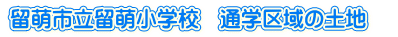 GsGwZ@ʊw̓yn@